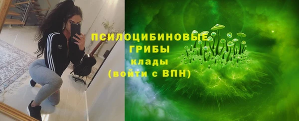 бошки Болхов