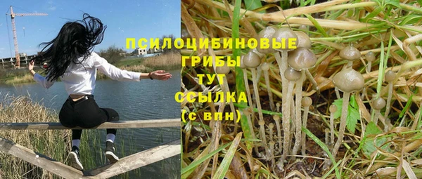 ПСИЛОЦИБИНОВЫЕ ГРИБЫ Покров