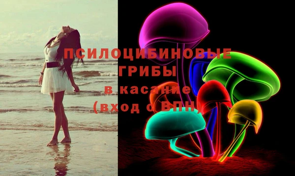 амф Абаза